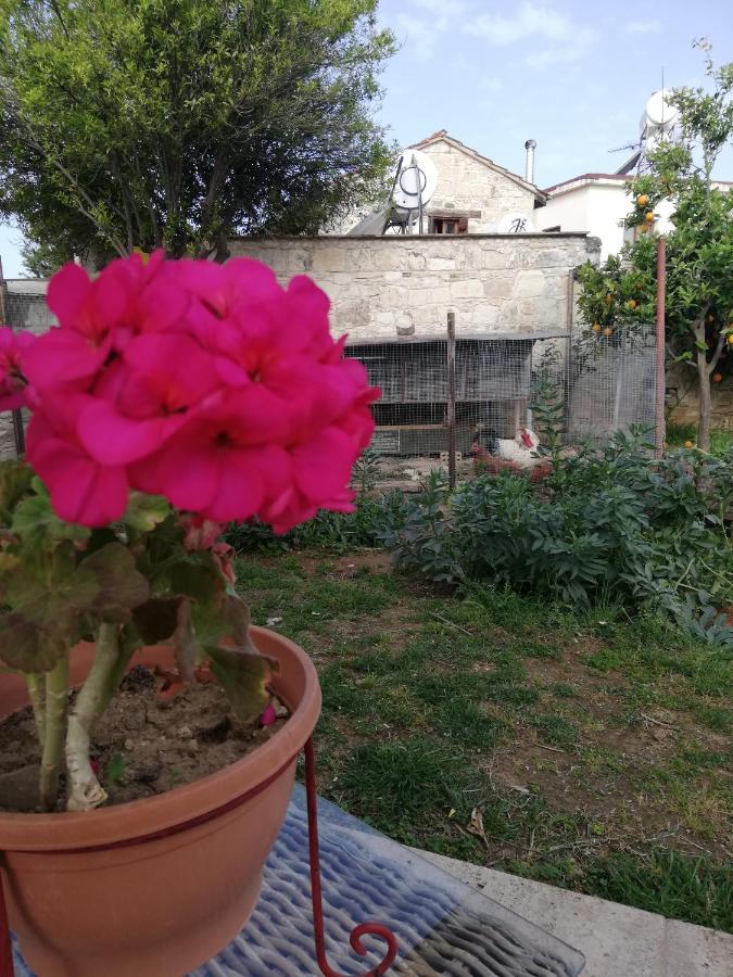 Kaizer Agrotourism Guest House Amargeti Exterior foto