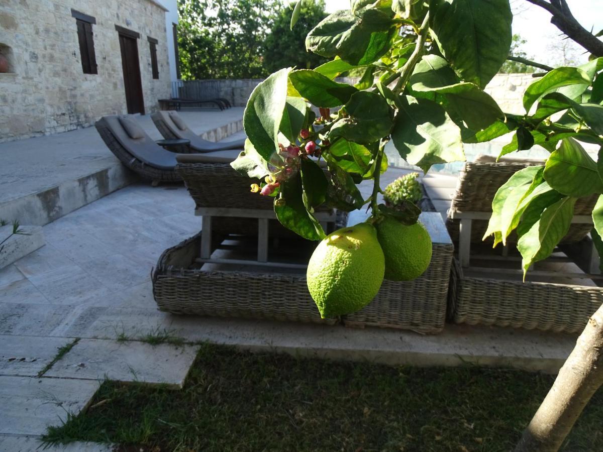 Kaizer Agrotourism Guest House Amargeti Exterior foto